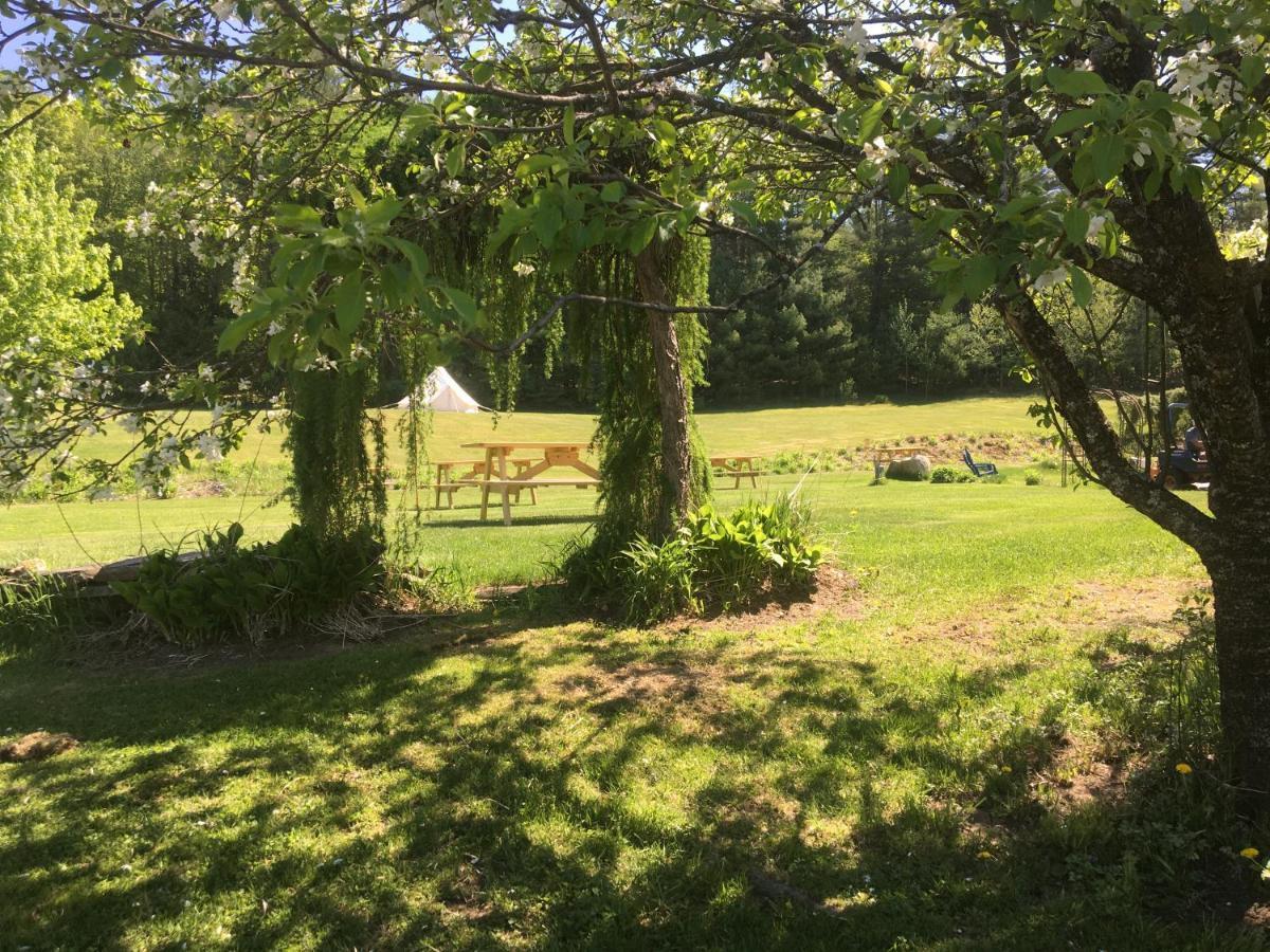 Craftsbury Farmhouse Buitenkant foto